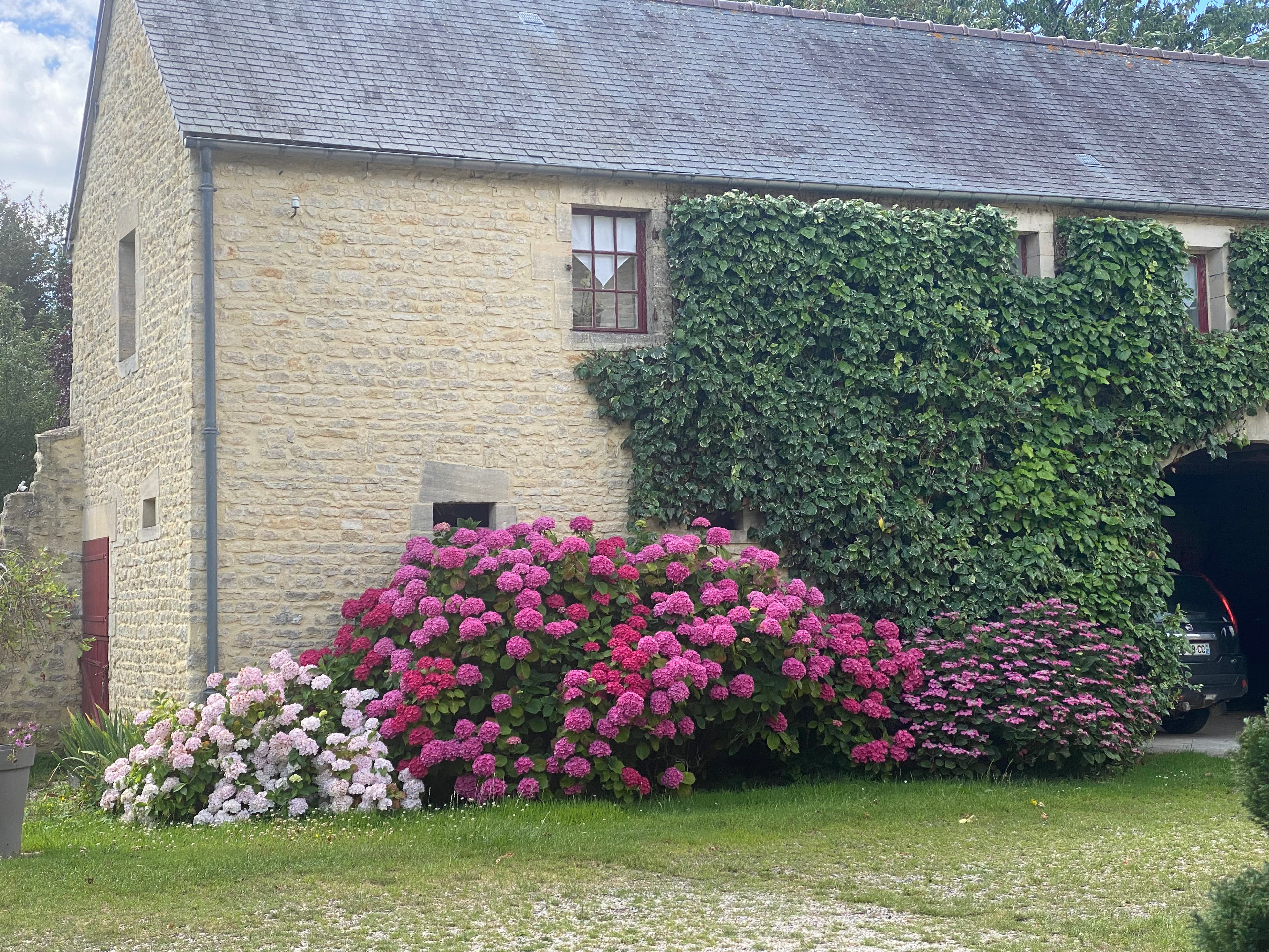 Vue du jardin et de la végétation